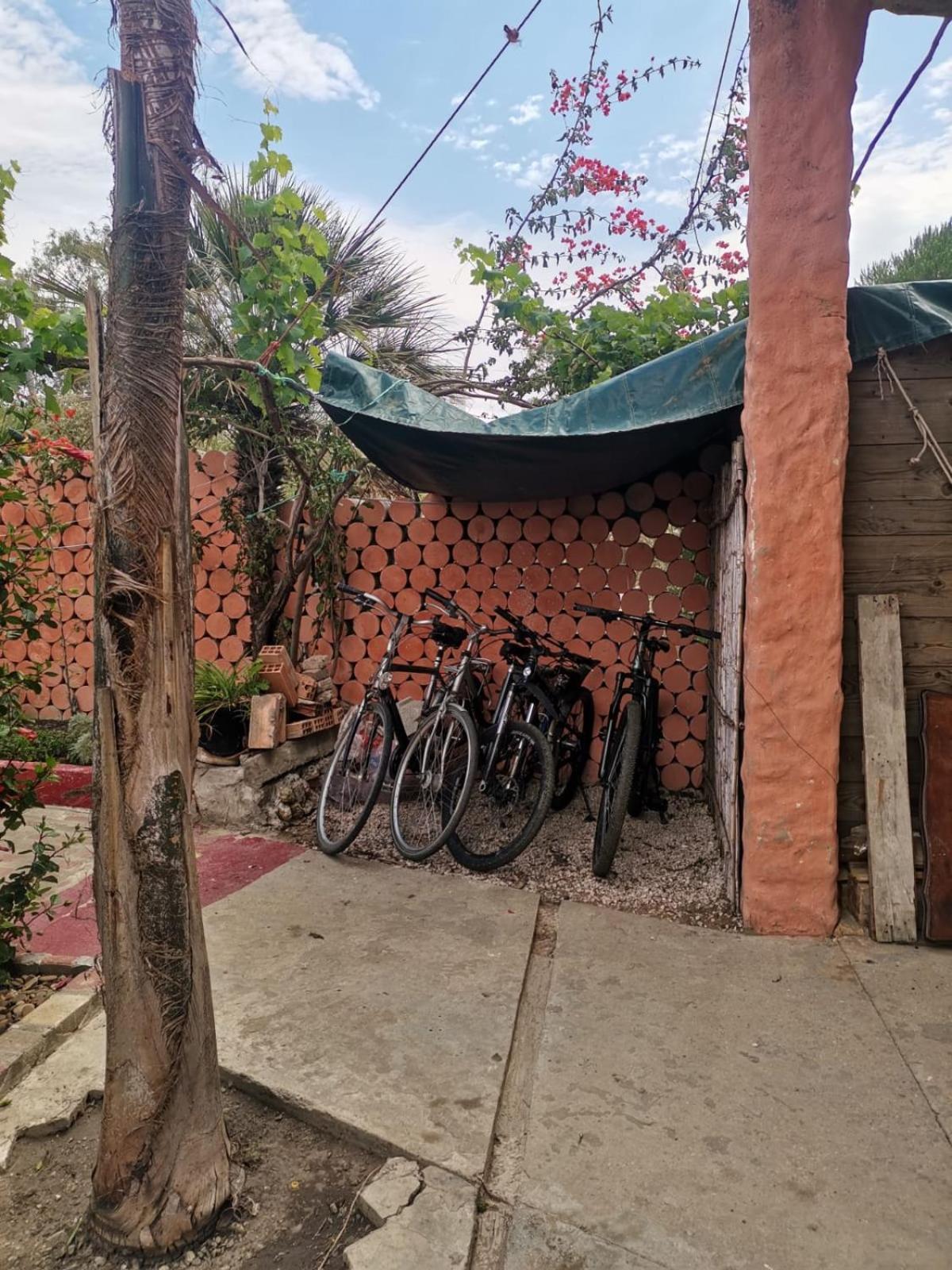 Hajrienne Guest House Танжер Стая снимка